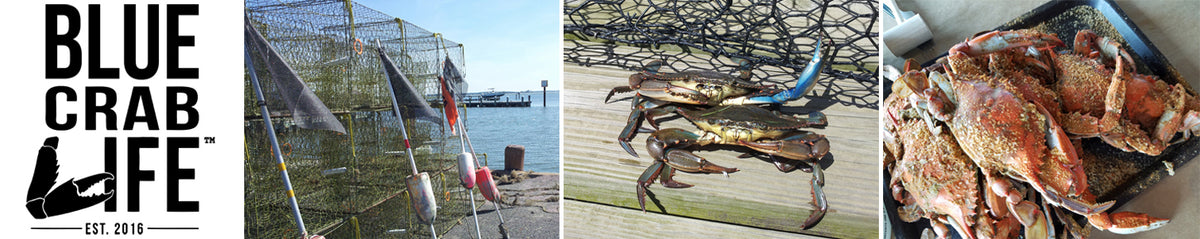 Blue Crab Life logo