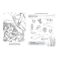 chadwick the crab activity book inside page
