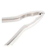 Crab Claw Cracker Heavy Duty Stainless Steel