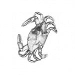 Large size pewter crab magnet
