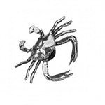 Pewter crab magnet small size